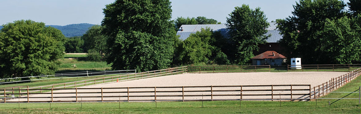 Equestrian arenas