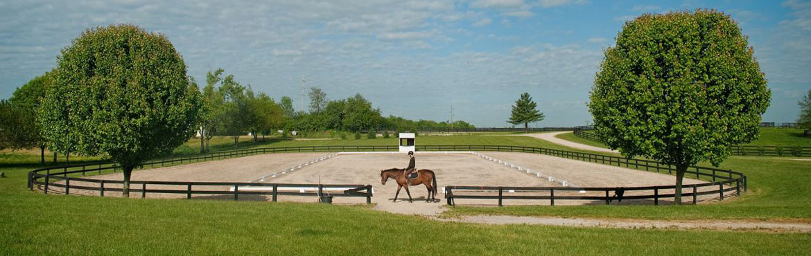 Dressage arenas